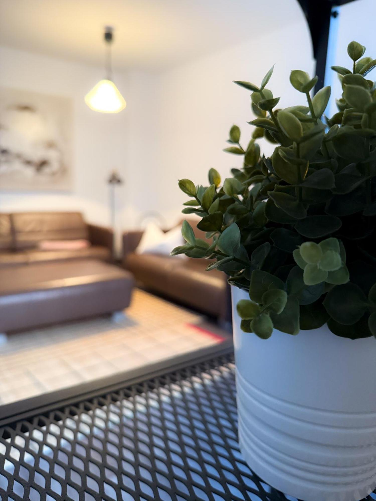 Alexxanders Apartments & Studios Chemnitz Rum bild