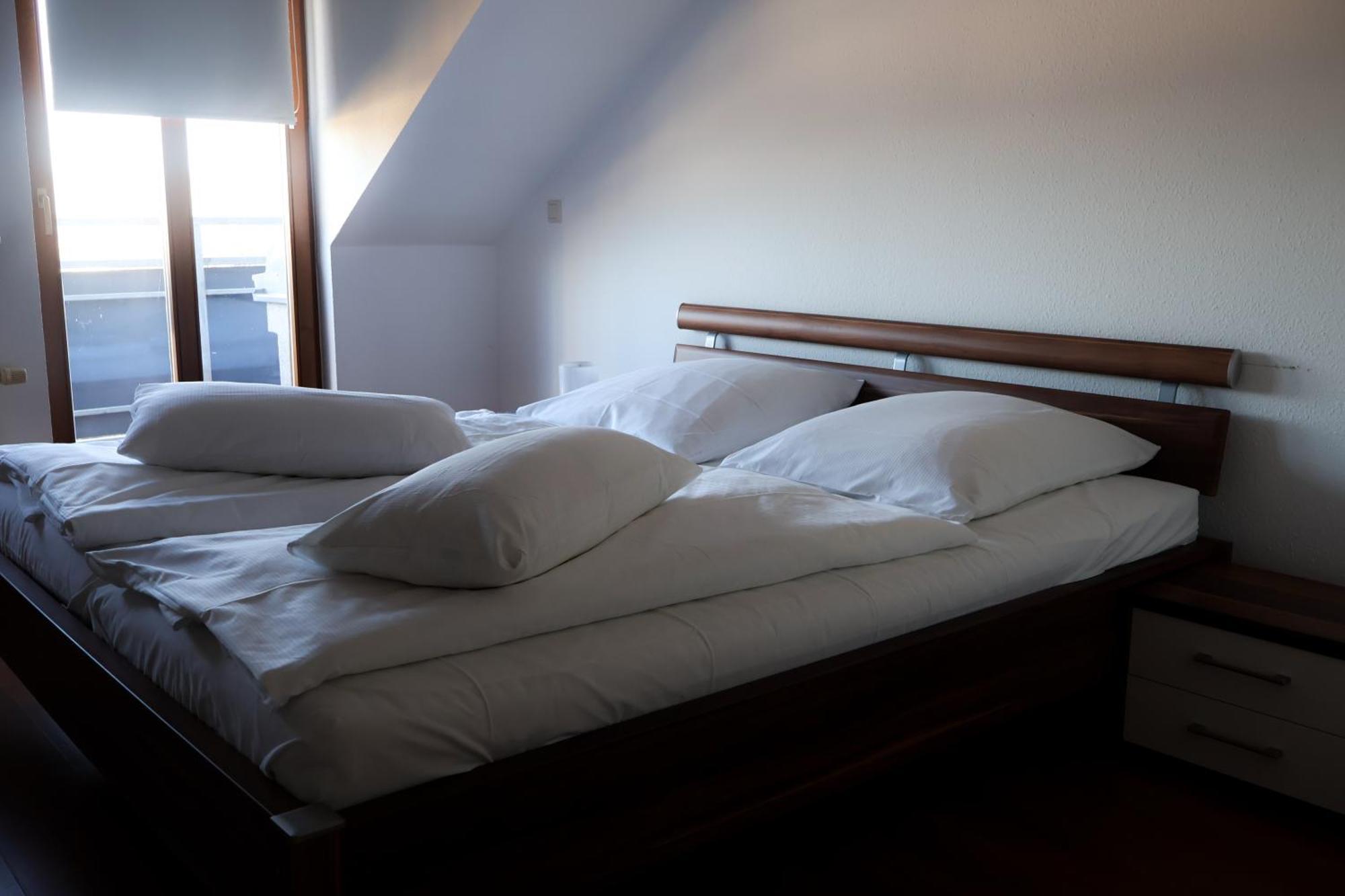Alexxanders Apartments & Studios Chemnitz Rum bild